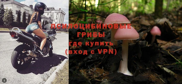 спиды Медвежьегорск