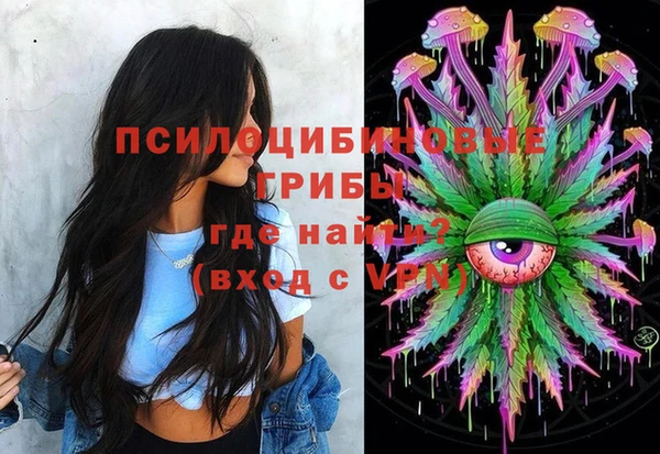 тгк Медногорск