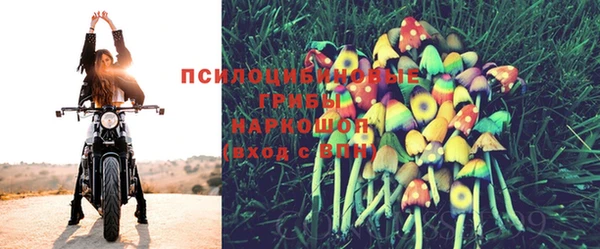 тгк Медногорск