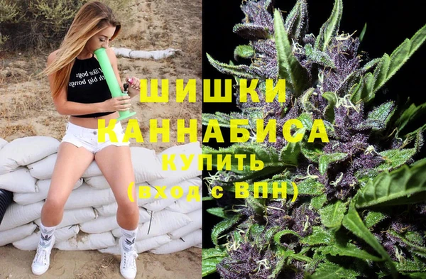 тгк Медногорск