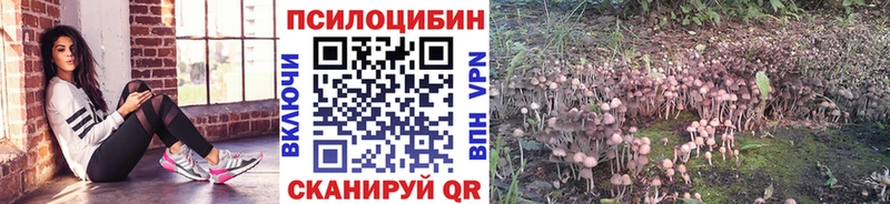 Галлюциногенные грибы мицелий  Калининград 